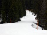 Pista 56 in mezzo ai pini