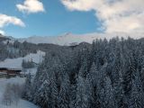 Pila