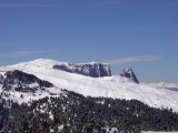 Le foto di Val Gardena: Alpe di Susi