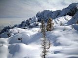 Colere