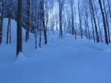 Le foto di Cerreto Laghi: Cerreto