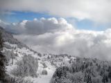 Panorami