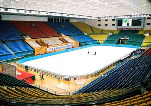GP - 3 этап. 6 - 8 Nov 2015 Beijing China N_capital-indoor-stadium