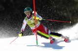 Il caso Liensberger: la slalomista richiede due consulenti, la federazione non vuole saperne, c'è tempo sino al 15 novembre