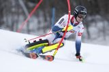 LIVE da Chamonix per la 2^ manche dello slalom maschile: Noel insegue Yule, Gross c'è per il podio