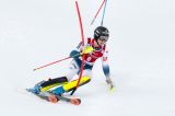 Il sestetto francese di slalom per Zagabria e Campiglio: Noel per il riscatto, Pinturault per la coppa