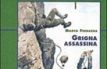 Grigna assassina
