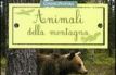 Animali della montagna