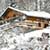 Holiday Houses