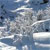 NEVE ITALIA