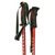 Ski Rental