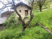 Rustico / Casale in vendita a Brusson(AO)