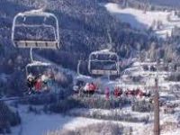 Attività / Licenza in vendita a Folgaria(TN)