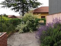 Villa in vendita a Nicolosi(CT)