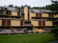 Appartamento in vendita a Cesana Torinese(TO)