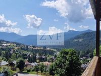 Appartamento in vendita a San Vito di Cadore(BL)
