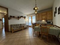 Appartamento in vendita a Auronzo di Cadore(BL)