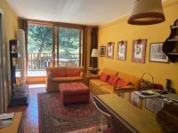 Appartamento in vendita a Cesana Torinese(TO)