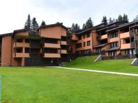 Appartamento in vendita a Pinzolo(TN)