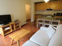 Appartamento in affitto a Courmayeur(AO)