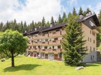 Appartamento in vendita a Pinzolo(TN)