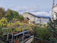 Immobile in vendita a Vittorio Veneto(TV)