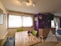 Appartamento in vendita a Predazzo(TN)