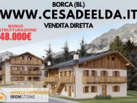 Appartamento in vendita a Borca di Cadore(BL)