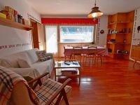 Appartamento in vendita a Pinzolo(TN)