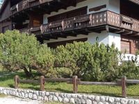 Appartamento in affitto a Cortina d'Ampezzo(BL)