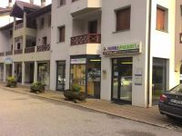 Immobile in affitto a Pellizzano(TN)