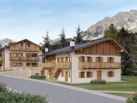 Appartamento in vendita a Borca di Cadore(BL)