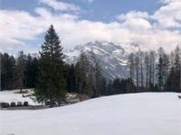 Palazzo / Stabile in vendita a Cortina d'Ampezzo(BL)
