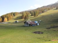 Immobile in affitto a Chiomonte(TO)