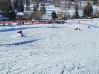 Appartamento in affitto a Gressoney-Saint-Jean(AO)