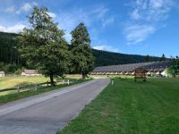 Appartamento in affitto a Lavarone(TN)