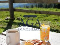 Immobile in vendita a Forni Avoltri(UD)
