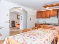 Appartamento in affitto a Primiero San Martino di Castrozza(TN)