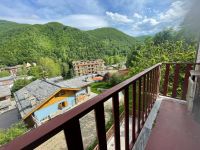 Appartamento in vendita a Limone Piemonte(CN)