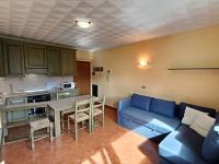 Appartamento in vendita a Dimaro Folgarida(TN)