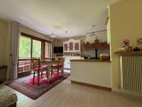 Appartamento in vendita a Auronzo di Cadore(BL)