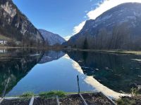 Immobile in affitto a Grigno(TN)