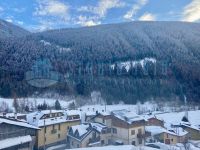 Appartamento in vendita a Vione(BS)