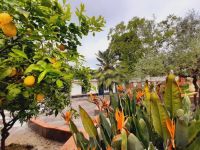 Casa indipendente in vendita a Zafferana Etnea(CT)