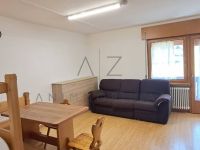 Appartamento in vendita a Falcade(BL)