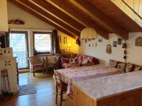 Attico / Mansarda in vendita a Sappada(UD)