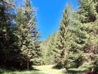 Rustico / Casale in vendita a Varzo(VB)