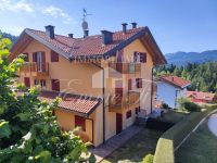 Appartamento in vendita a Lavarone(TN)