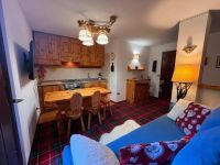 Appartamento in affitto a Courmayeur(AO)