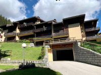 Appartamento in vendita a Pinzolo(TN)